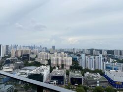 Stirling Residences (D3), Apartment #638252321